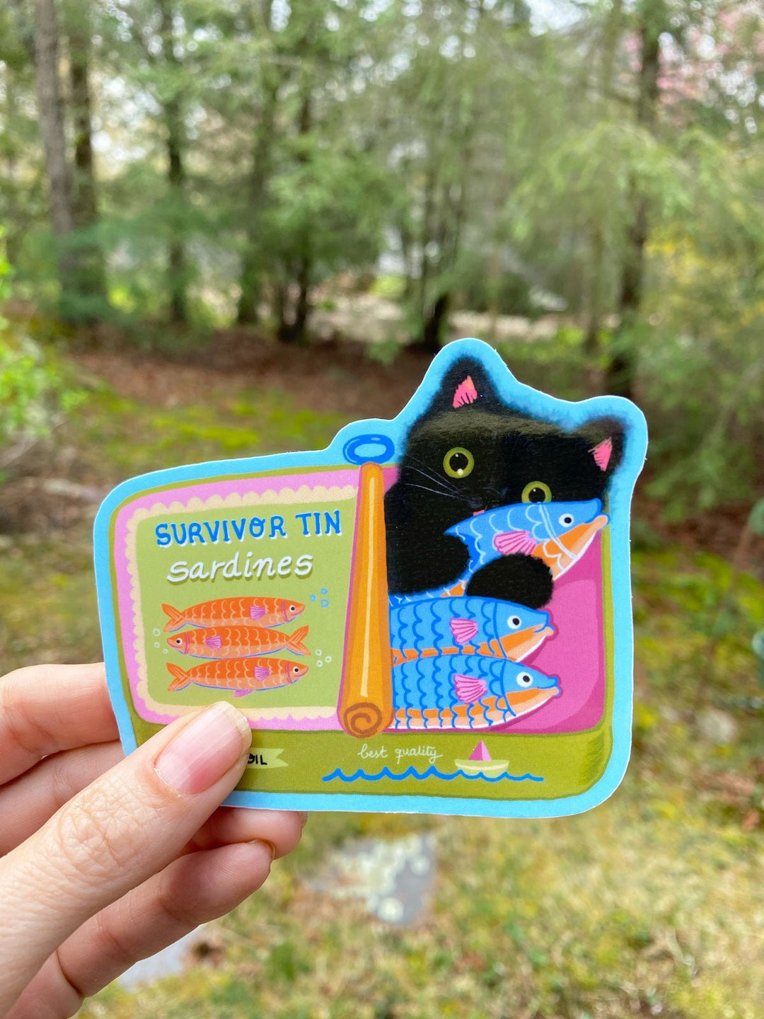 Kuro - Jolly Dragons