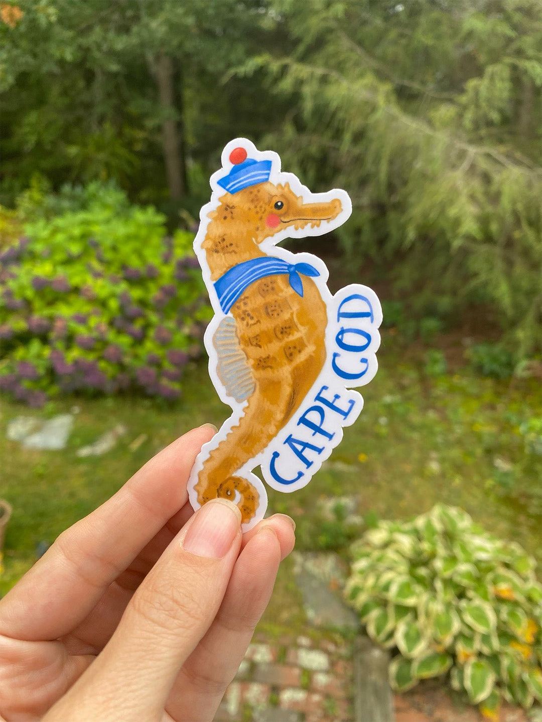 Cape Cod Marine life sticker set - Jolly Dragons