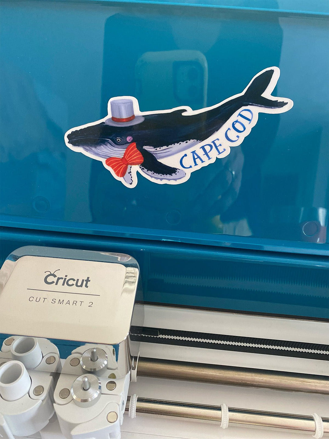 Cape Cod Marine life sticker set - Jolly Dragons