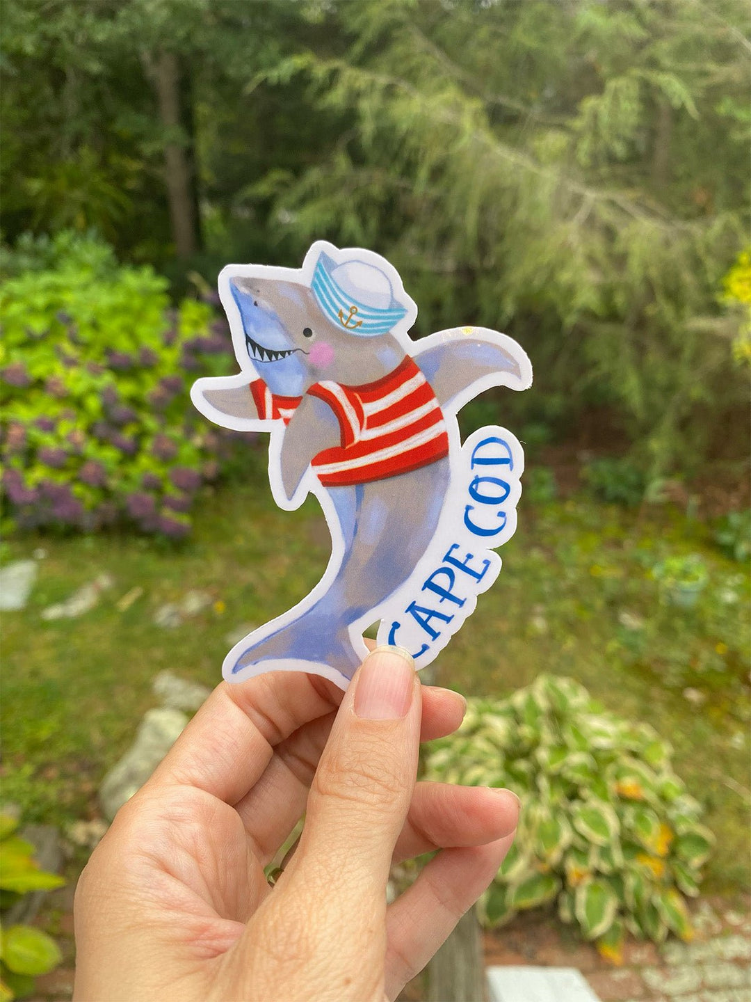 Cape Cod Marine life sticker set - Jolly Dragons